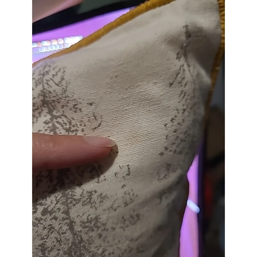 World‎ Market Embroidered Decorative Pillow Ice Skating Foxes